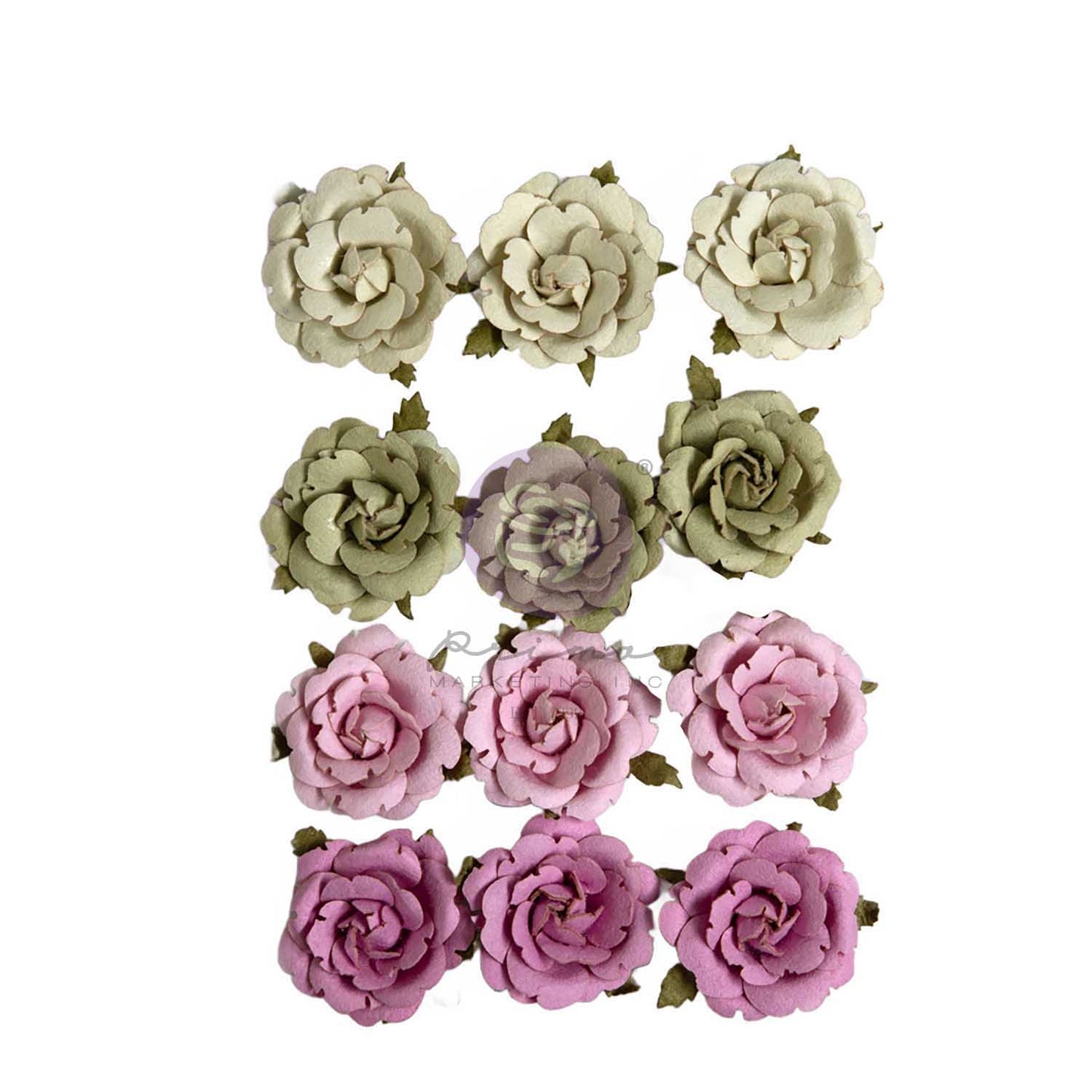 Serene Petals Collection Flowers - Budding Serenity
