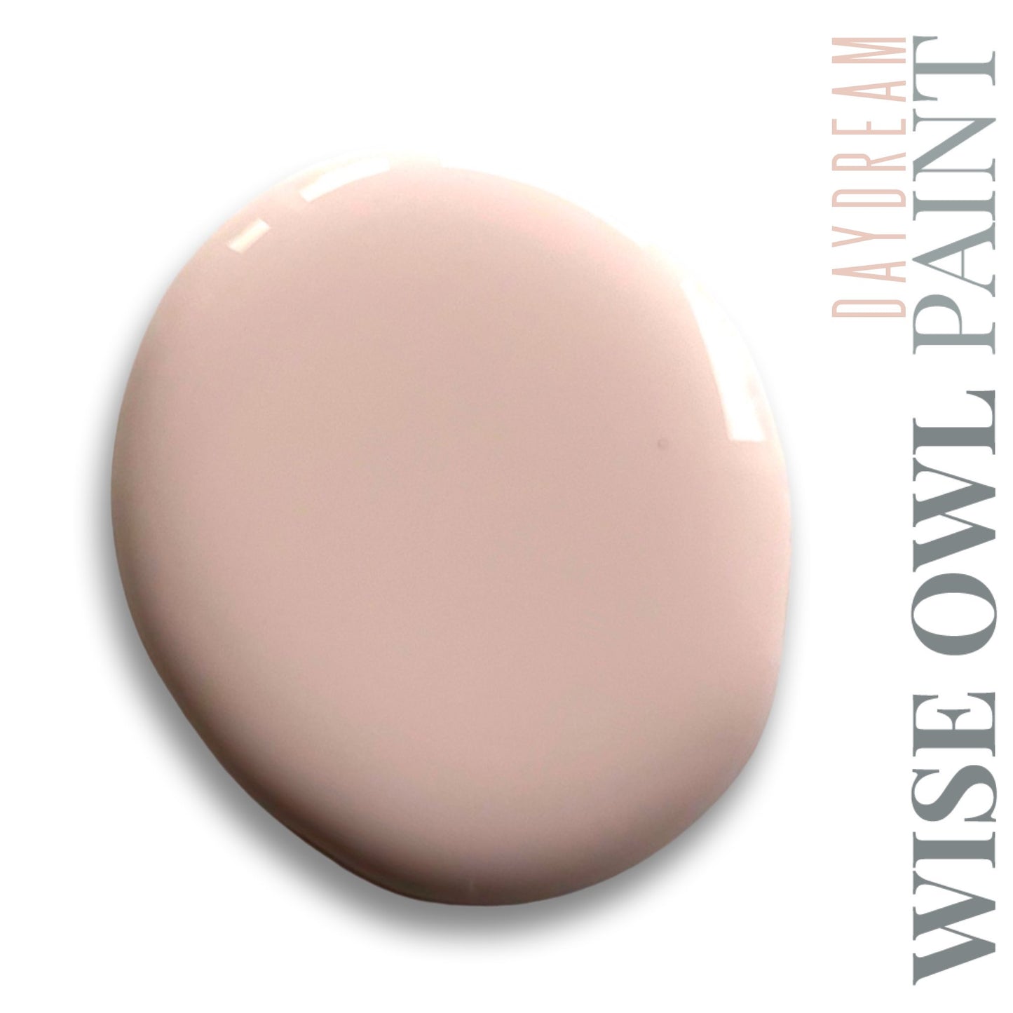 Wise Owl Paint One Hour Enamel - Quart
