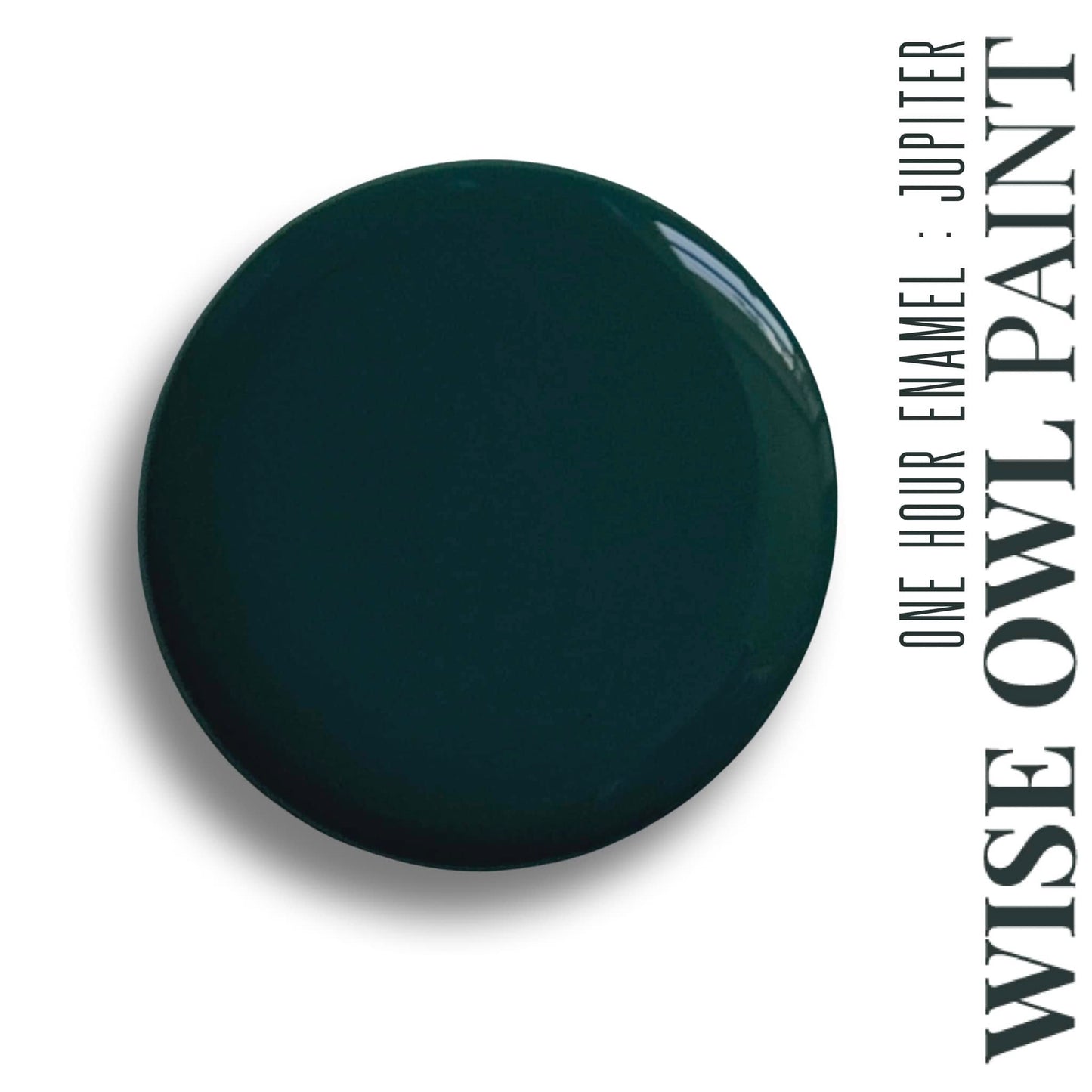 Wise Owl Paint One Hour Enamel - Quart
