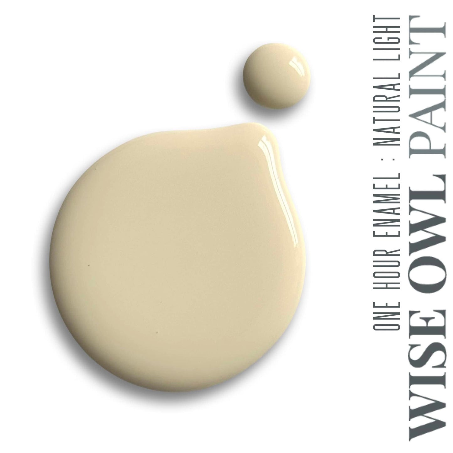 Wise Owl Paint One Hour Enamel - Quart