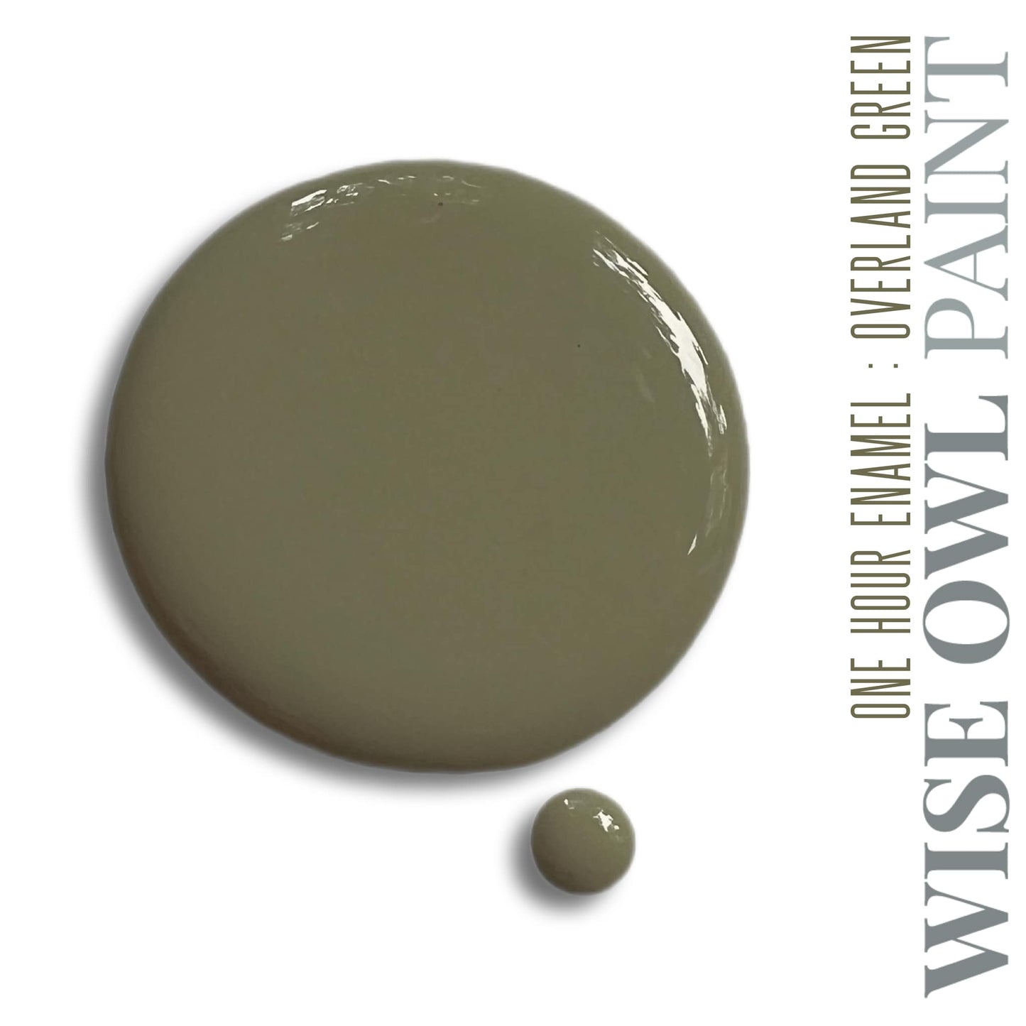 Wise Owl Paint One Hour Enamel - Quart