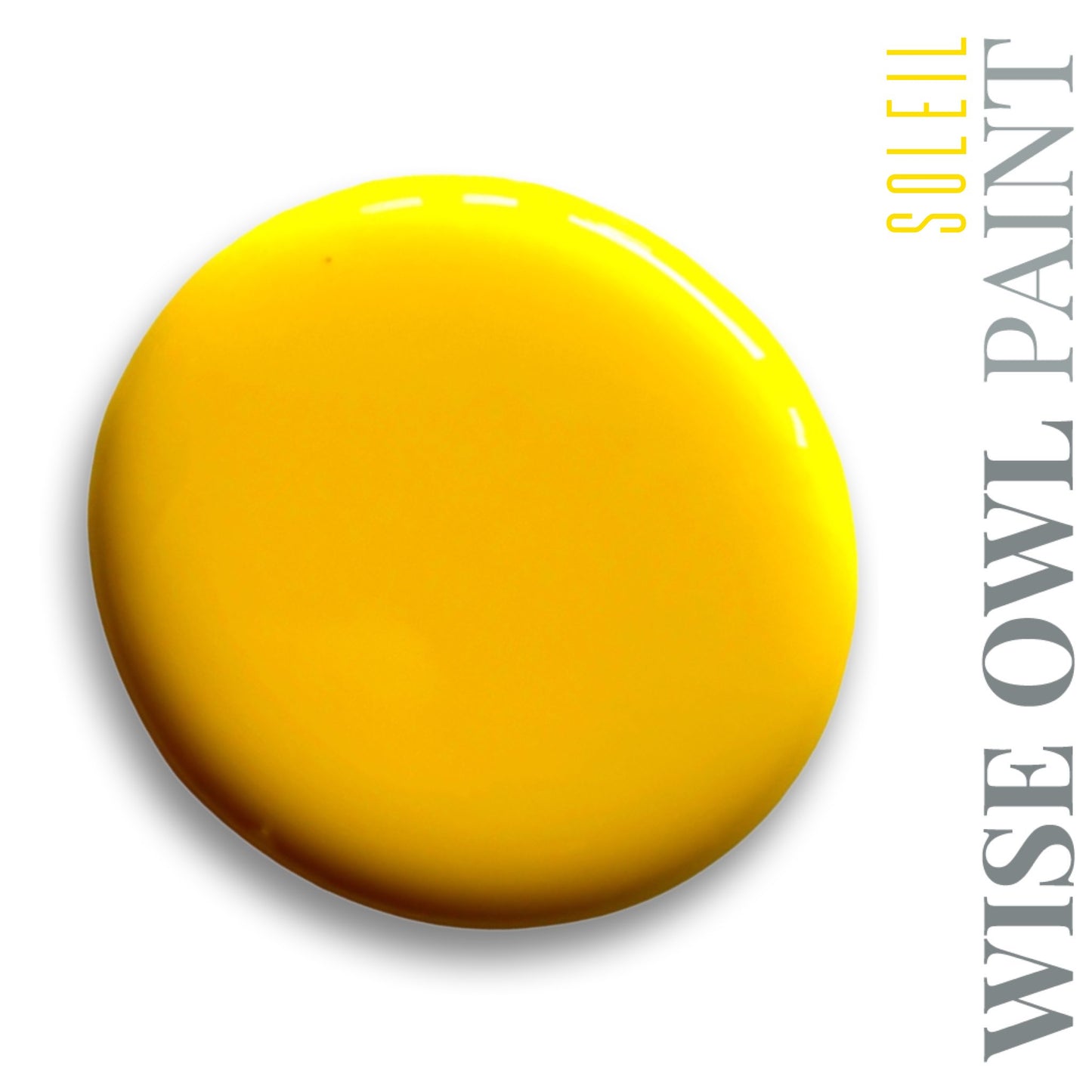 Wise Owl Paint One Hour Enamel - Quart
