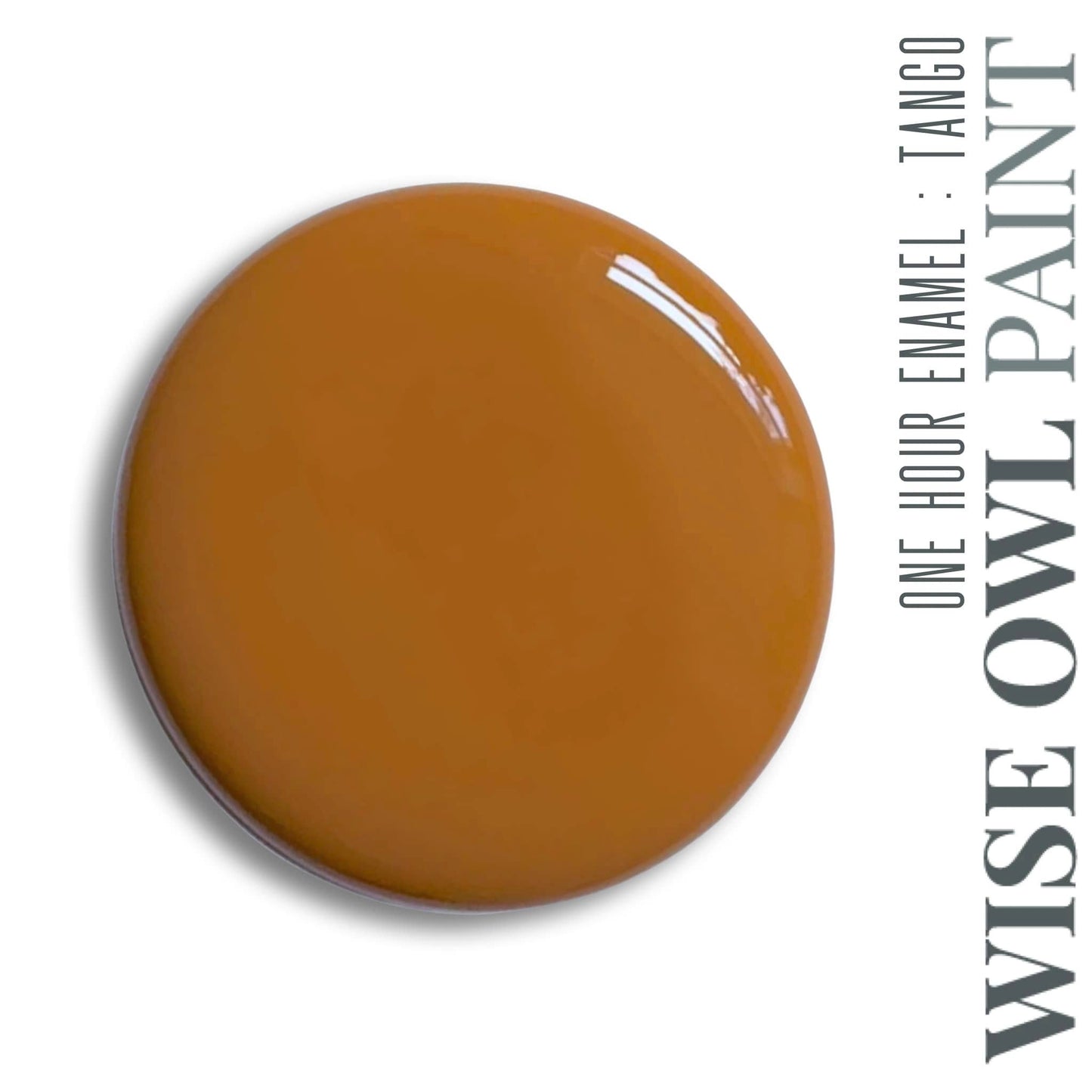 Wise Owl Paint One Hour Enamel - Quart