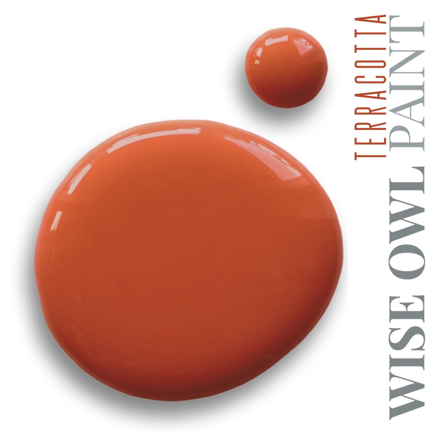 Wise Owl Paint One Hour Enamel - Quart