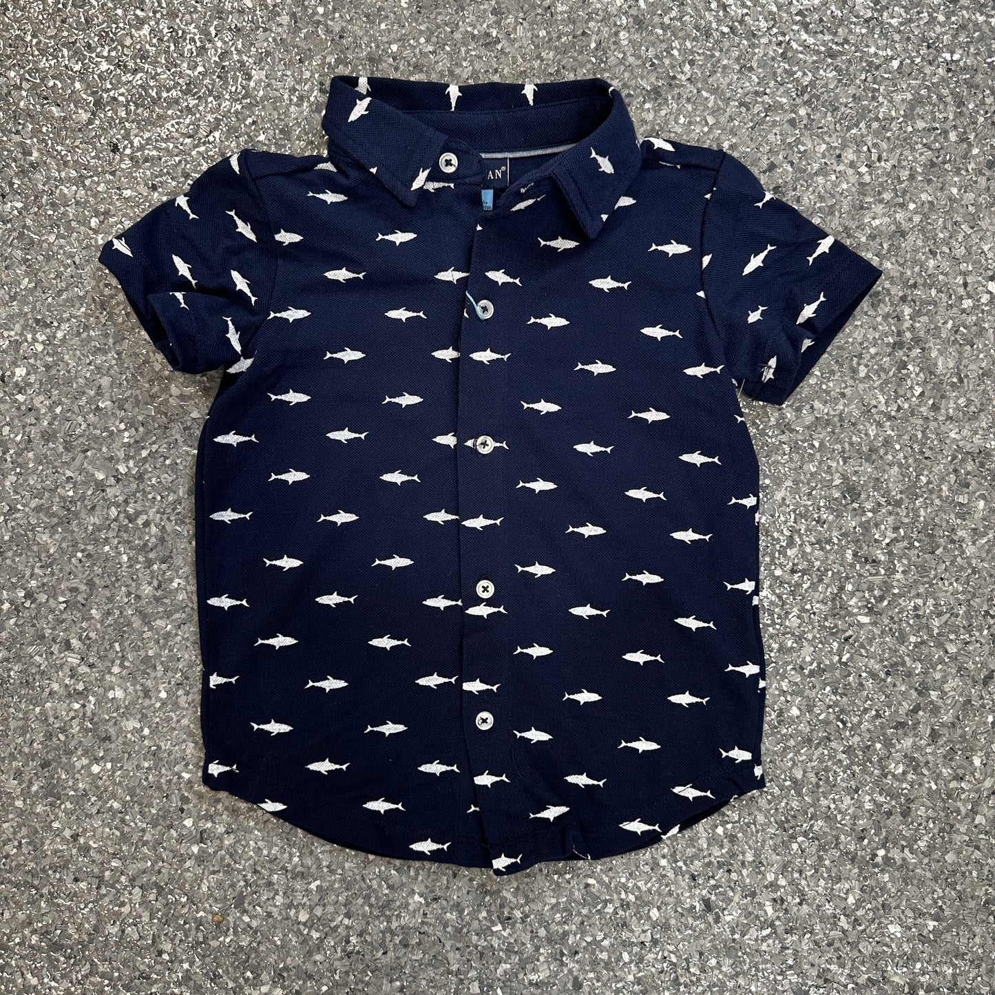 Boys Button Down Shirt