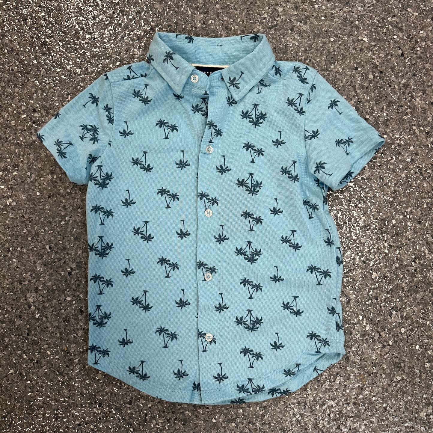 Boys Button Down Shirt