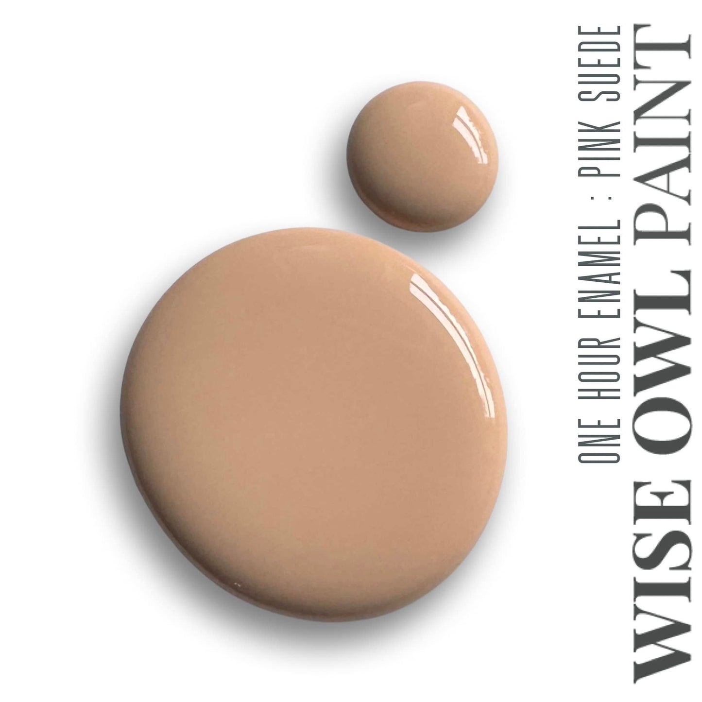 Wise Owl Paint One Hour Enamel - Quart