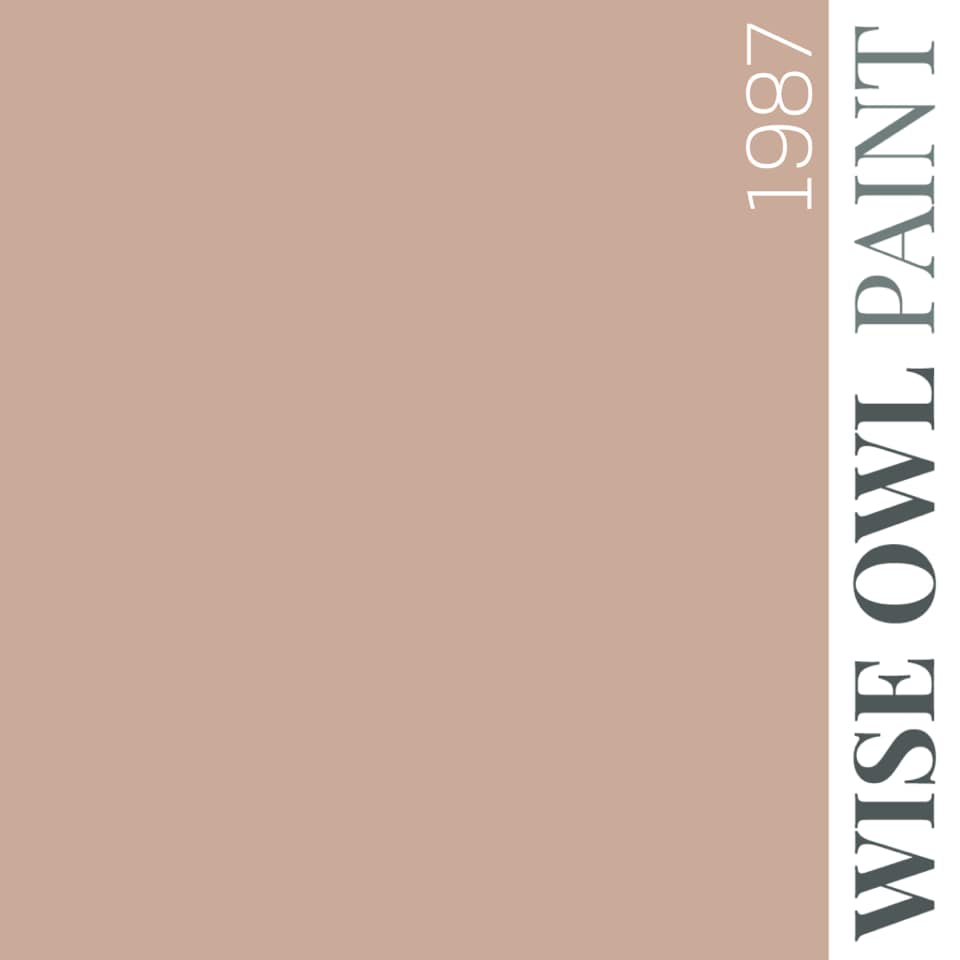 Wise Owl Paint One Hour Enamel - Quart