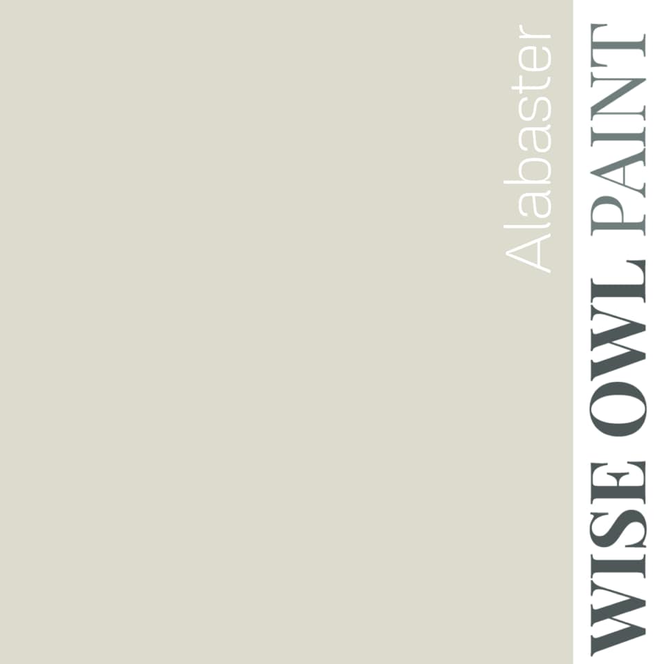 Wise Owl Paint One Hour Enamel - Quart