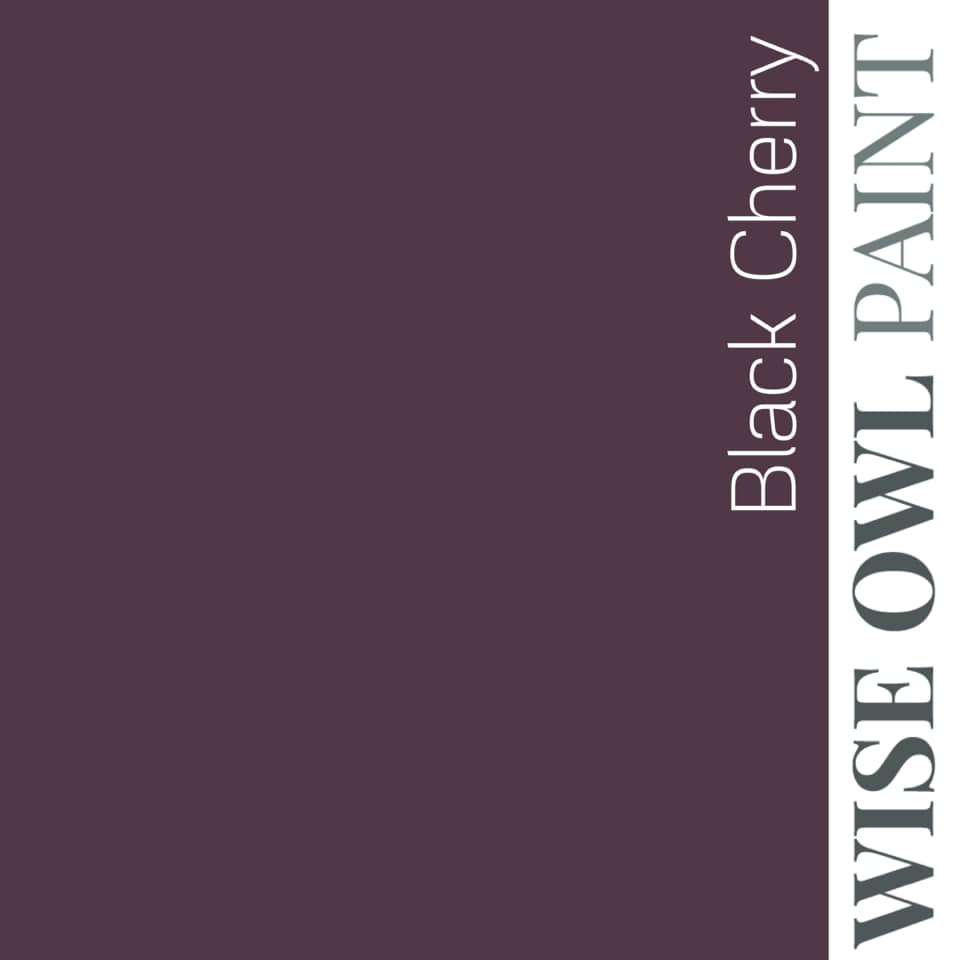 Wise Owl Paint One Hour Enamel - Quart