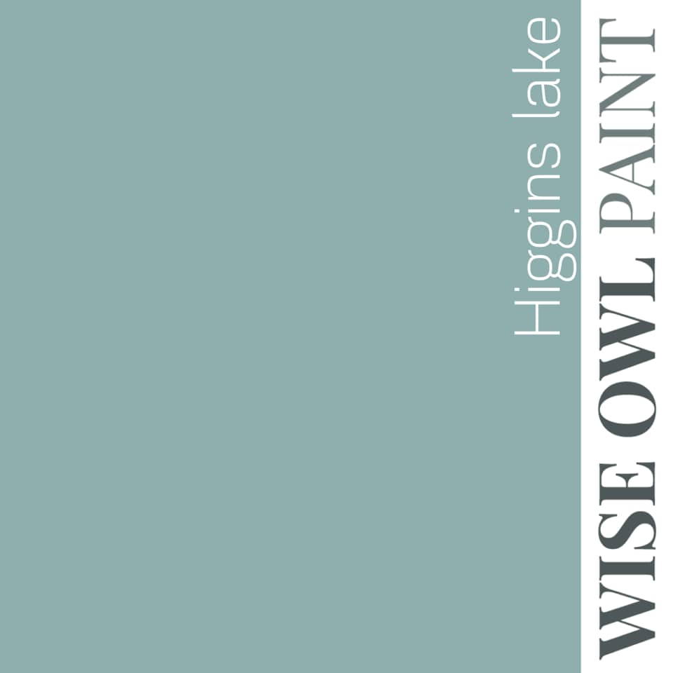 Wise Owl Paint One Hour Enamel - Quart