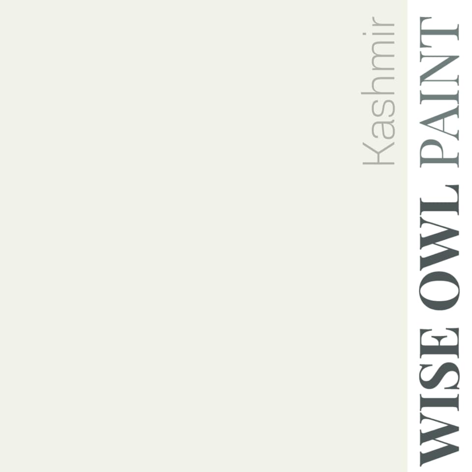 Wise Owl Paint One Hour Enamel - Quart