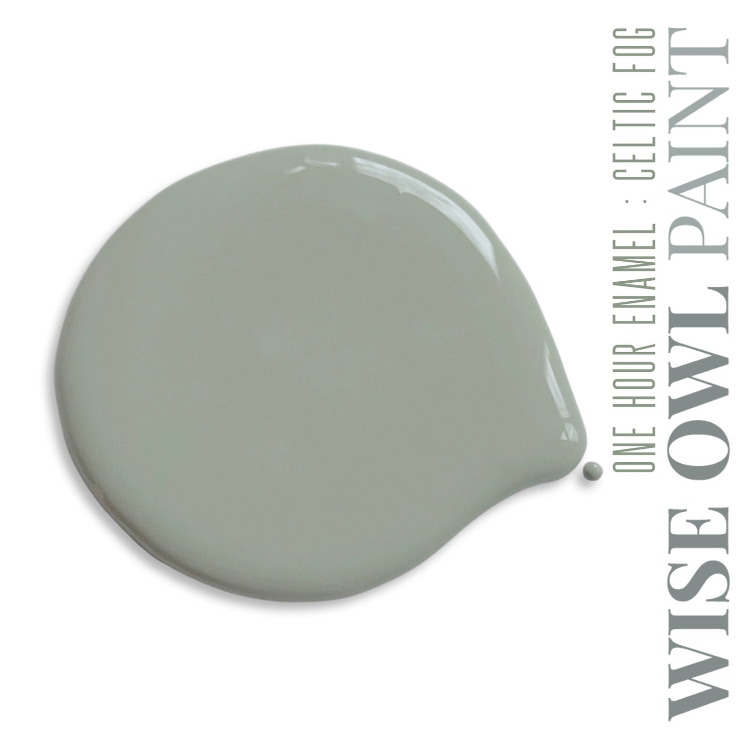 Wise Owl Paint One Hour Enamel - Quart