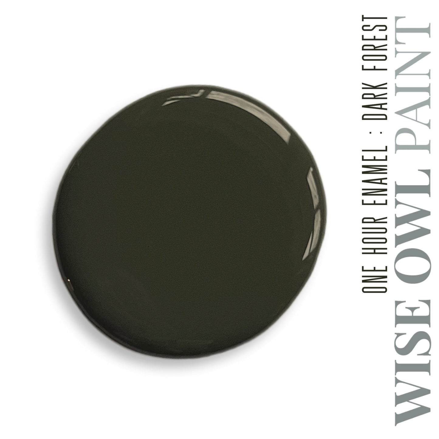 Wise Owl Paint One Hour Enamel - Quart