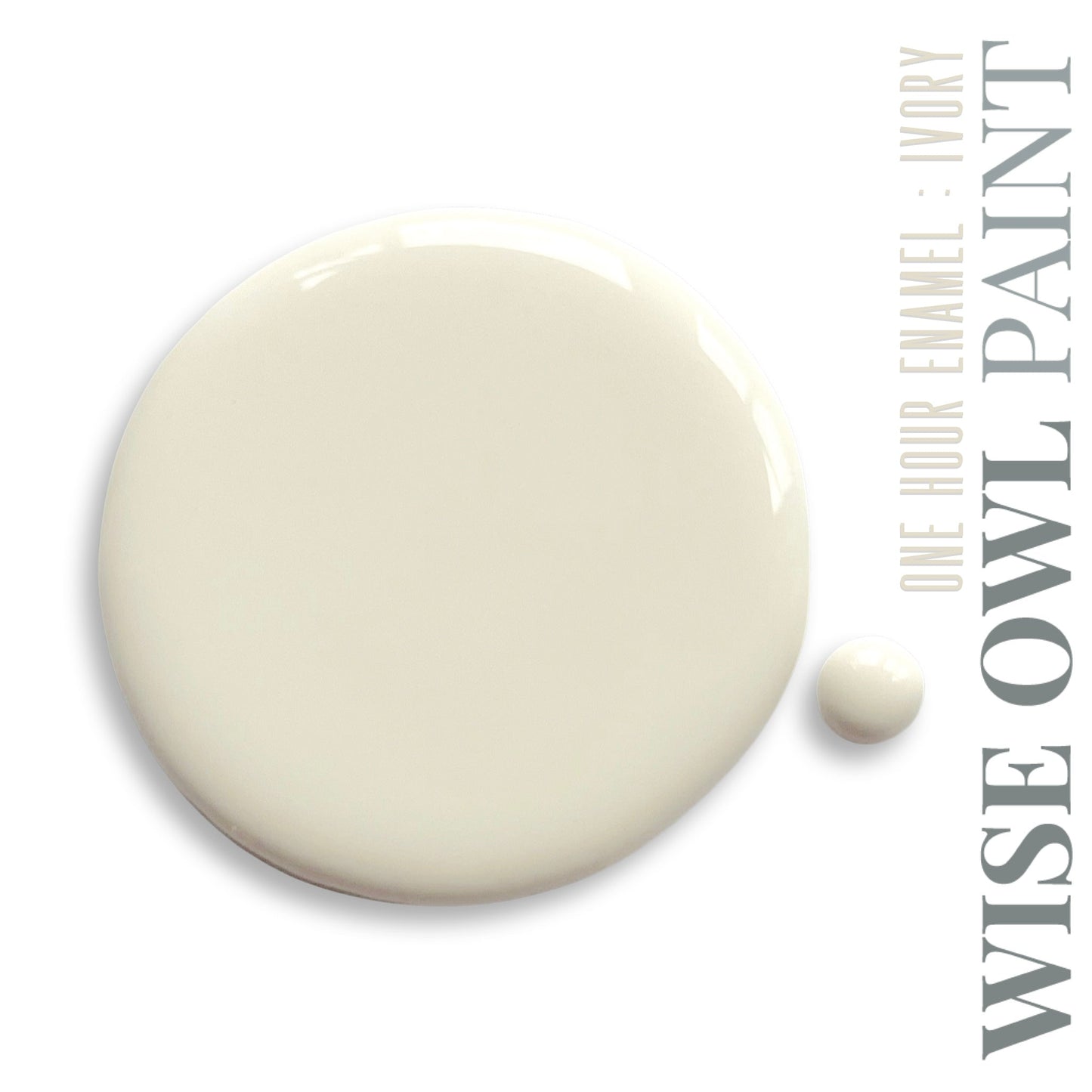 Wise Owl Paint One Hour Enamel - Quart