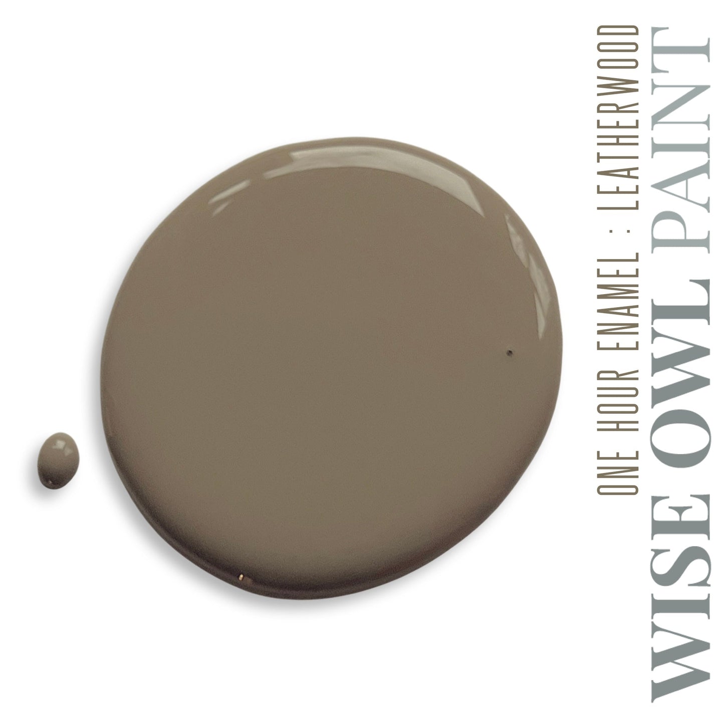 Wise Owl Paint One Hour Enamel - Quart