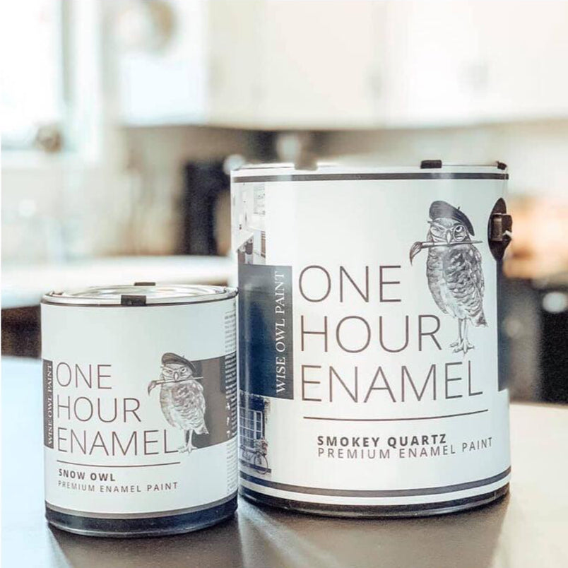 Two cans of Wise Owl Paint One Hour Enamel in Smokey Quartz color, placed on a wooden surface with the brand name visible.