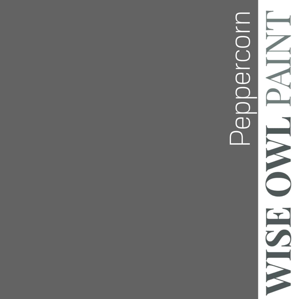 Wise Owl Paint One Hour Enamel - Quart