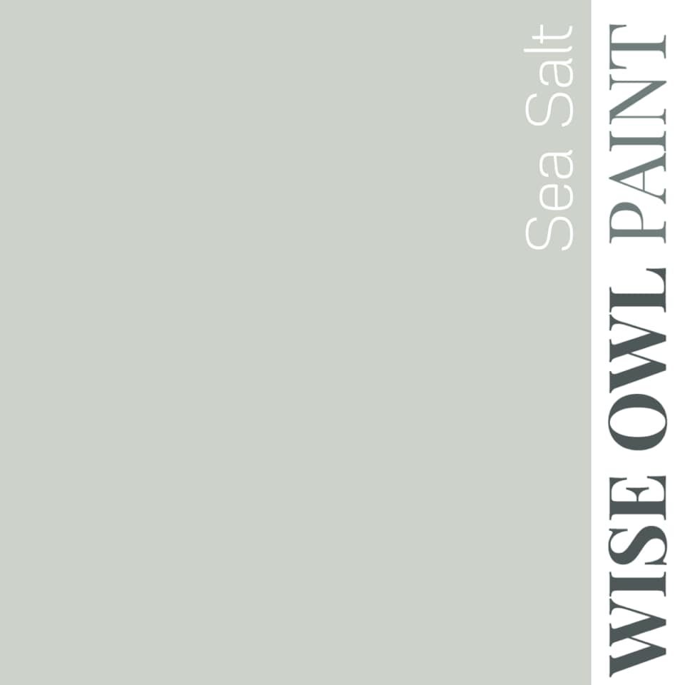 Wise Owl Paint One Hour Enamel - Quart