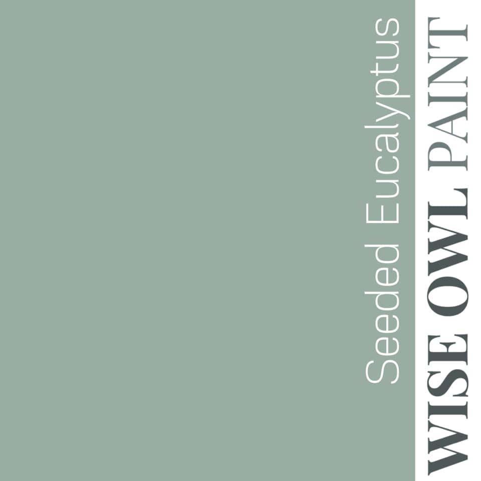 Wise Owl Paint One Hour Enamel - Quart
