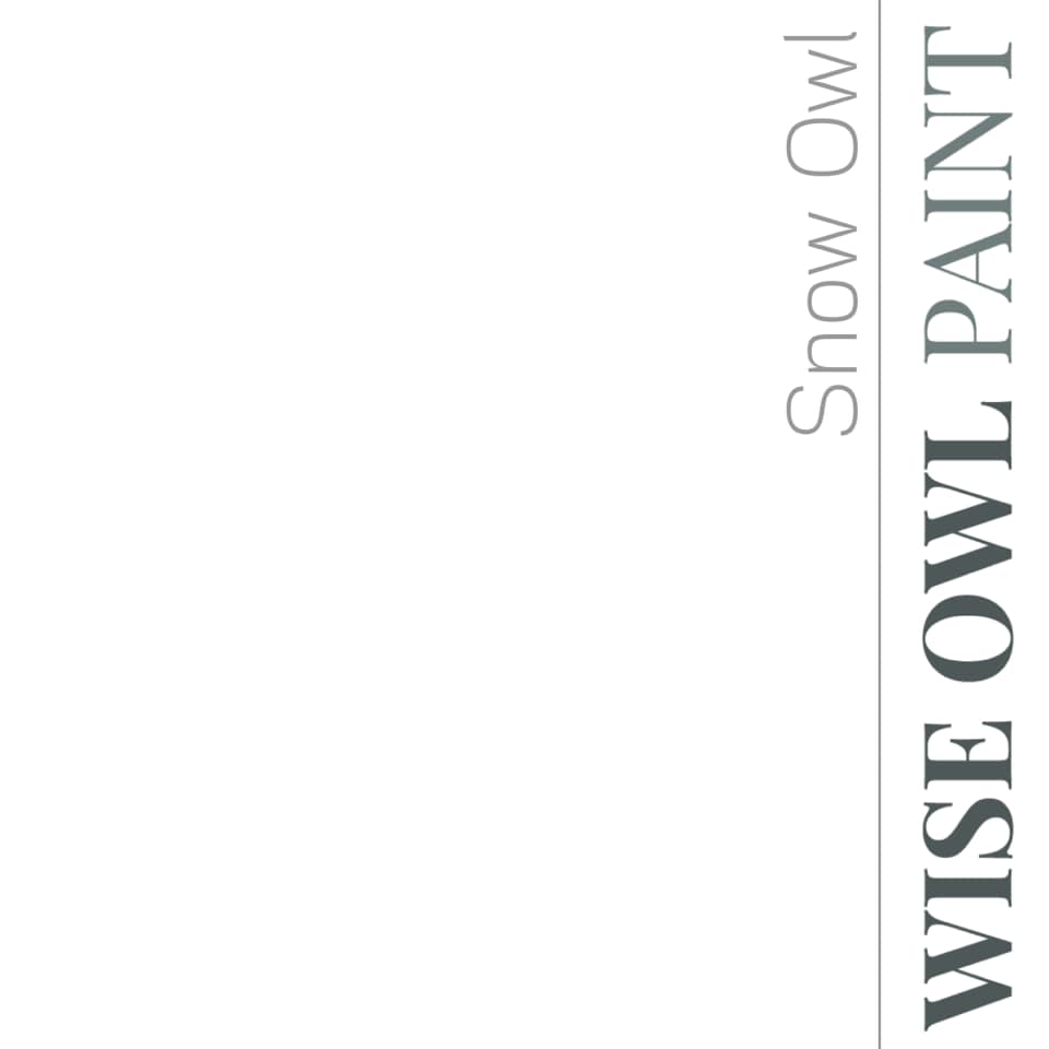 Wise Owl Paint One Hour Enamel - Quart