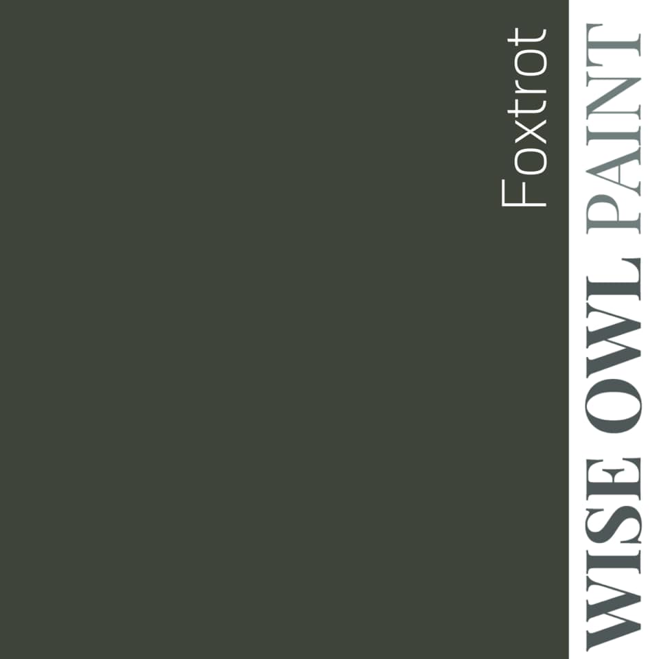 Wise Owl Paint One Hour Enamel - Quart
