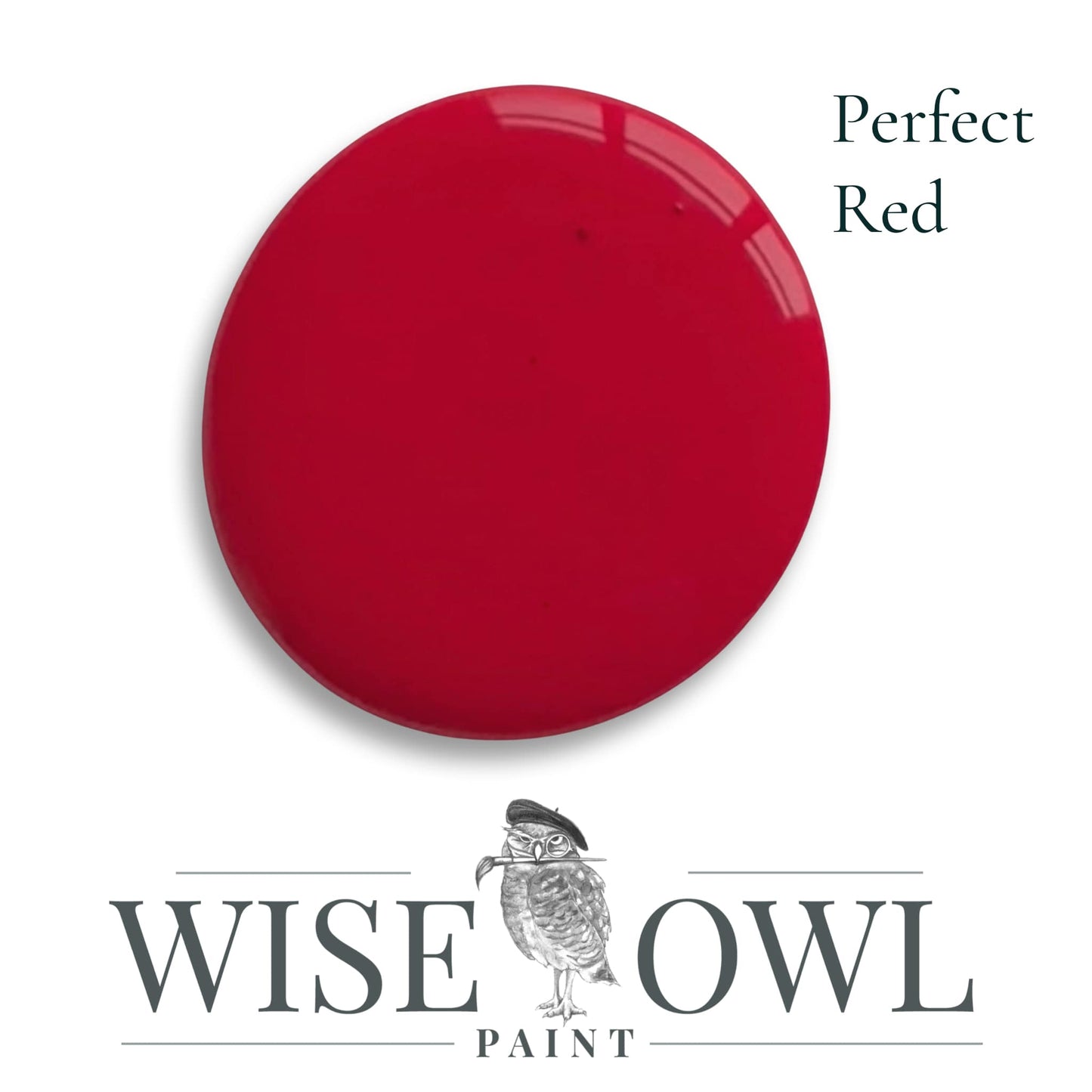 Wise Owl Chalk Synthesis Paint