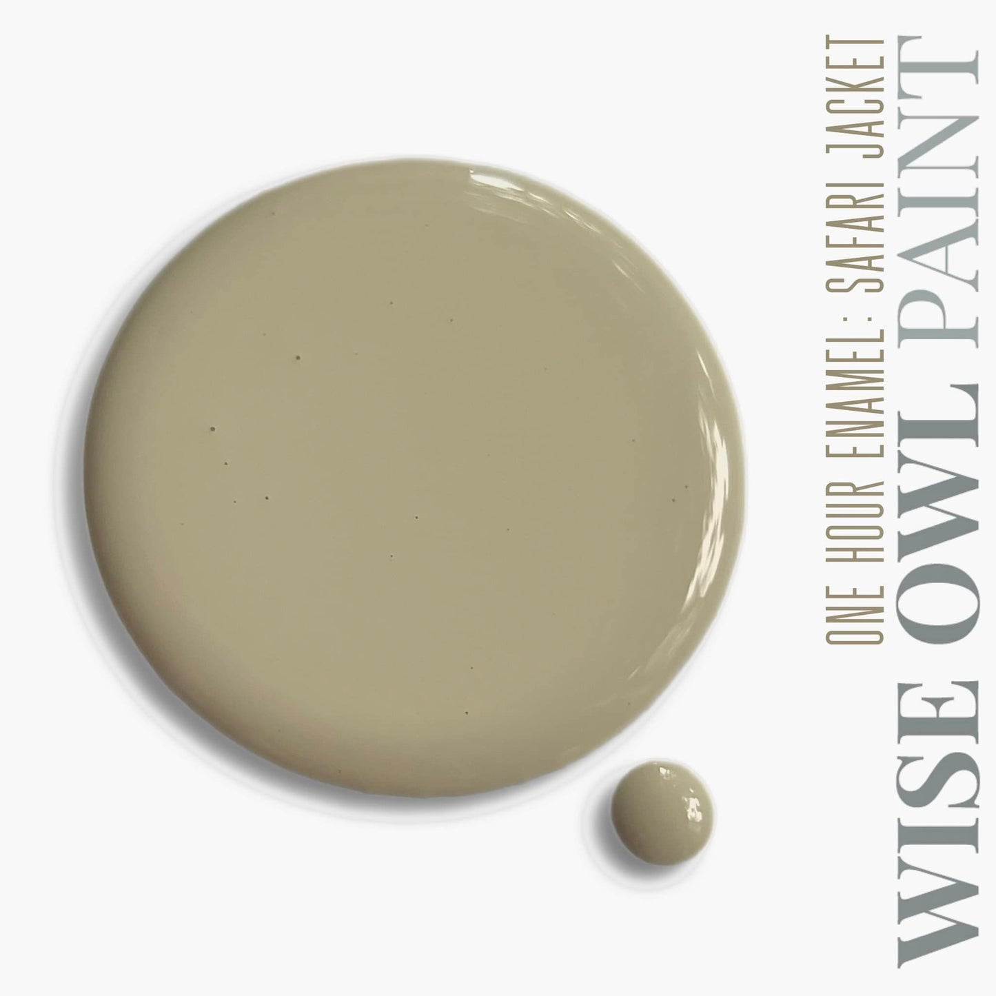 Wise Owl Paint One Hour Enamel - Gallon