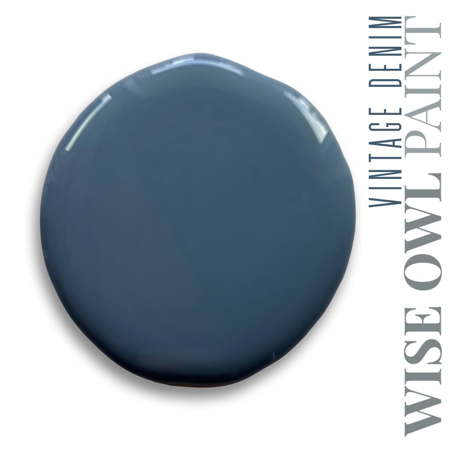 Wise Owl Paint One Hour Enamel - Quart